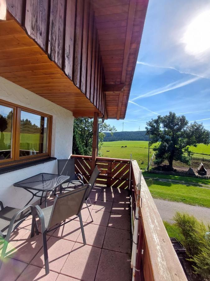 Appartement Urlaub An Der Grenze à Lauterbach  Extérieur photo