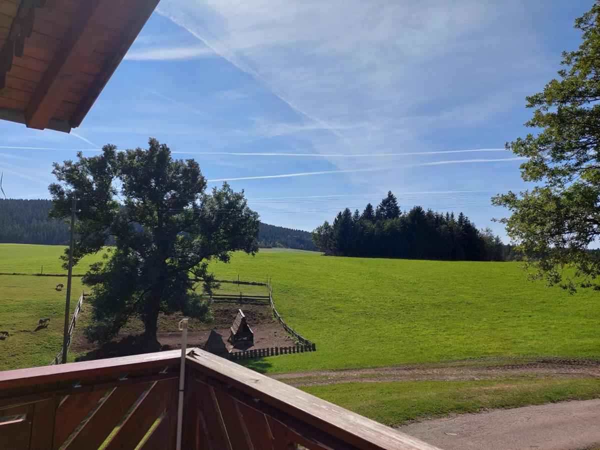 Appartement Urlaub An Der Grenze à Lauterbach  Extérieur photo
