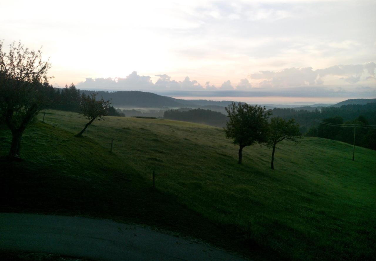 Appartement Urlaub An Der Grenze à Lauterbach  Extérieur photo